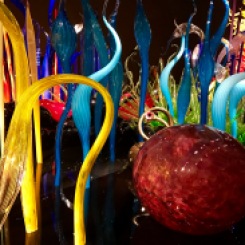 Chihuly Gardens and Glass exhibit
