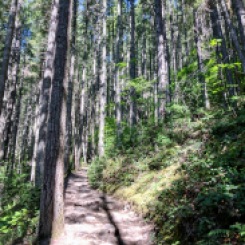 Mount Si hiking trail