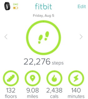 Fitbit stats for the Ollantaytambo day