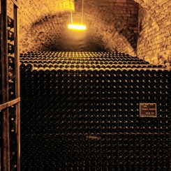 Champagne Cellar in Reims